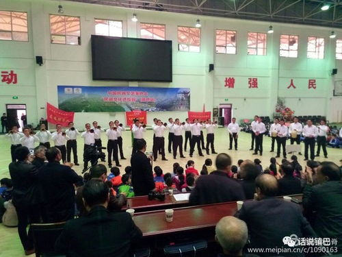 民間文藝綻放校園，文化傳承走進鎮巴——中國民間文藝家協會‘民間文化進校園’活動紀實